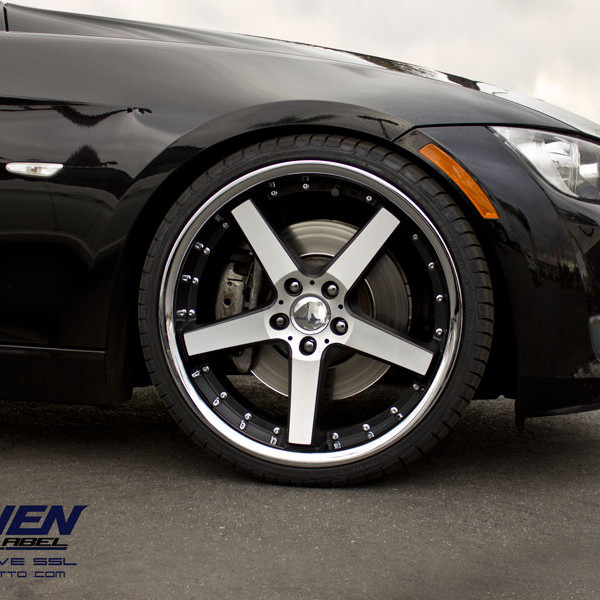 BMW-Rennen Blue C5 (6)