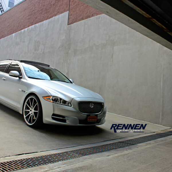 Jaguar _ Rennen Blue C10 (2)