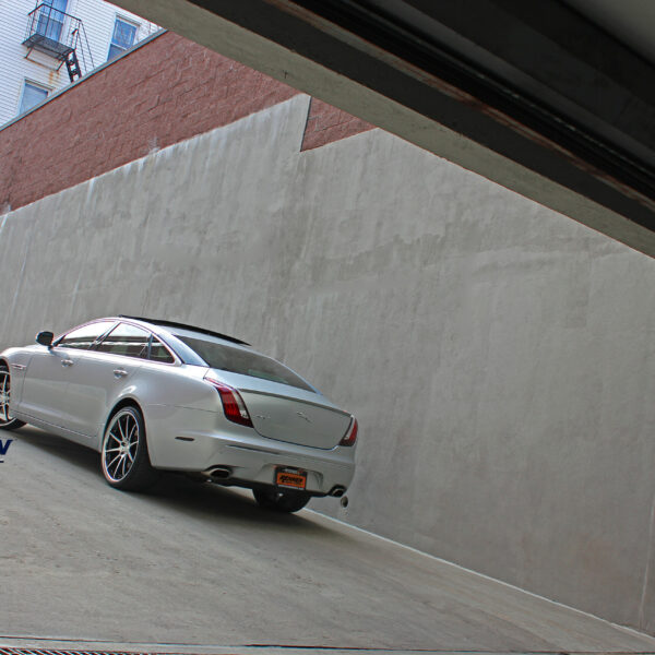 Jaguar _ Rennen Blue C10 (5)