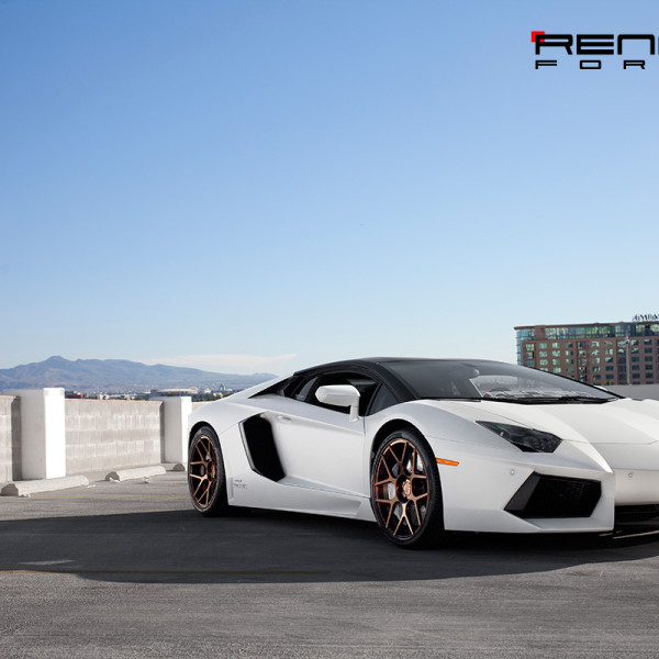 Lamborghini-Aventadore-RL-M6 (4)