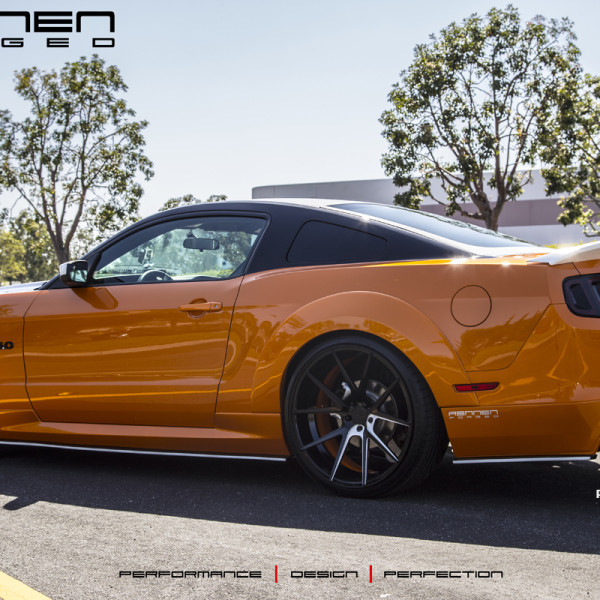 Mustang_RL55 (1)