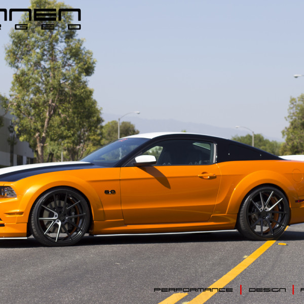 Mustang_RL55 (2)