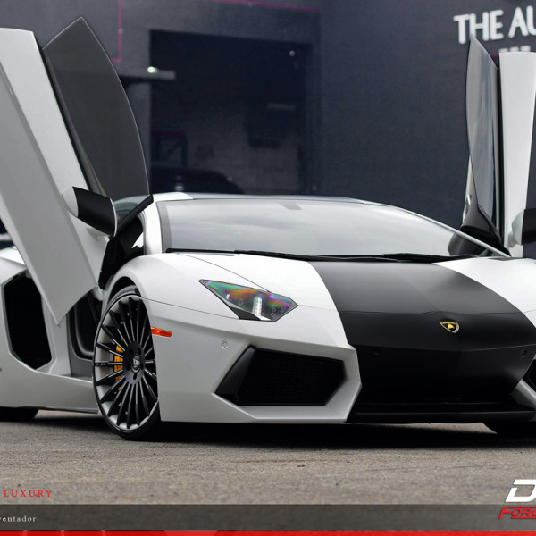 aventador-Donz Profaci (1)